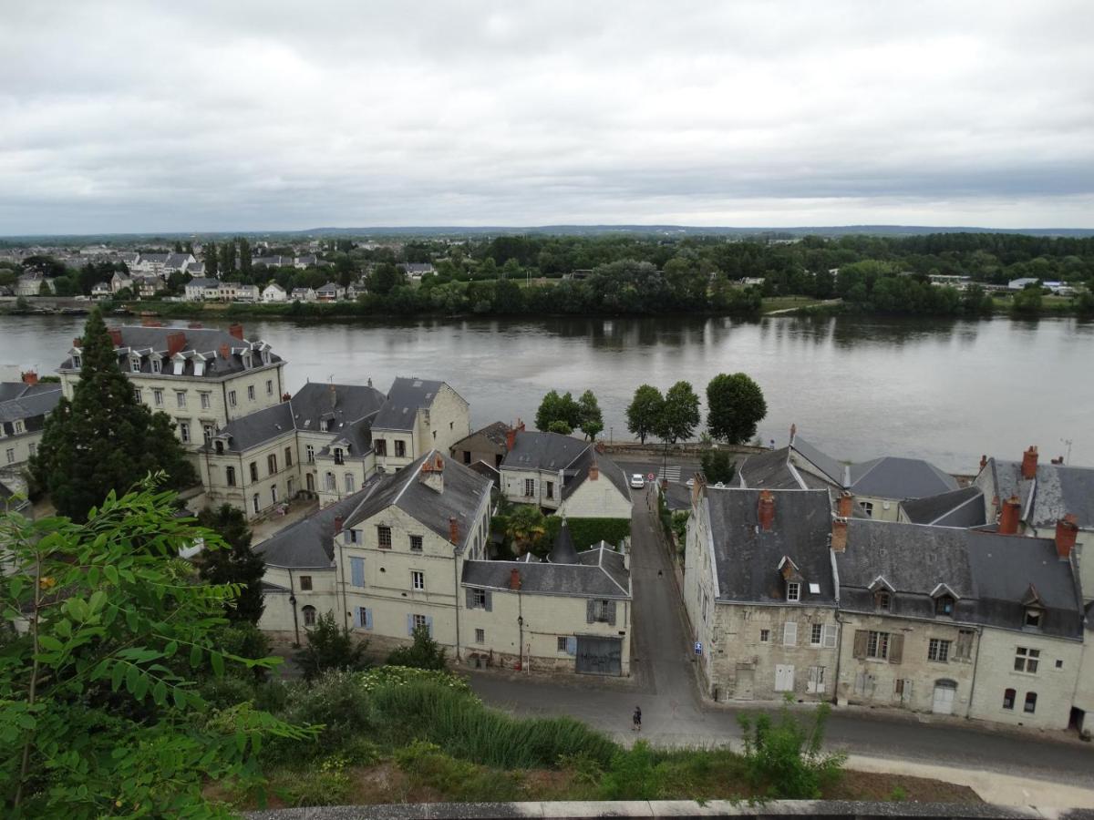Vue Splendide Sur Chateau Сомюр Екстер'єр фото